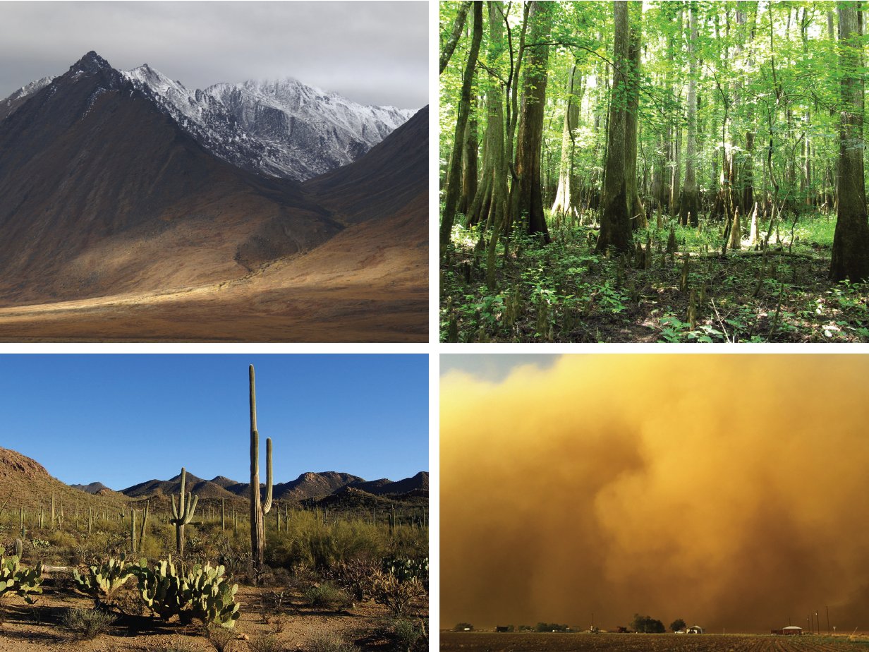 Four United States landscapes: snow-capped mountains, swamp forest, Sonoran desert and a dust storm over farmland